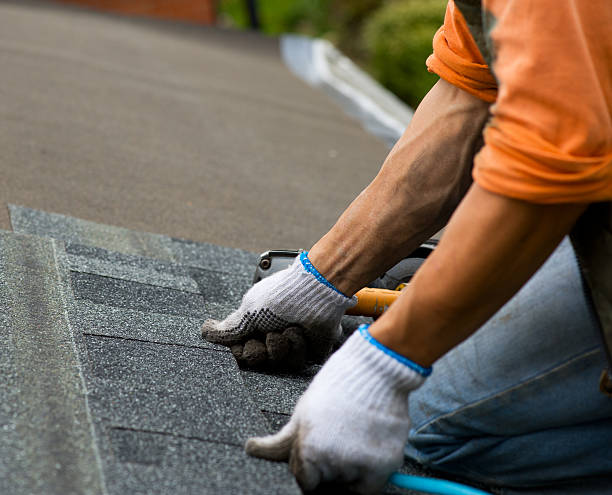 Best Storm Damage Roof Repair  in Leadington, MO