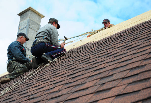 Best Shingle Roofing Installation  in Leadington, MO