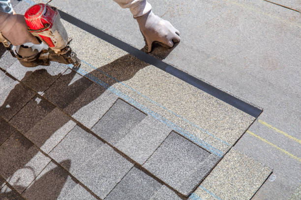 Best Metal Roofing Contractor  in Leadington, MO